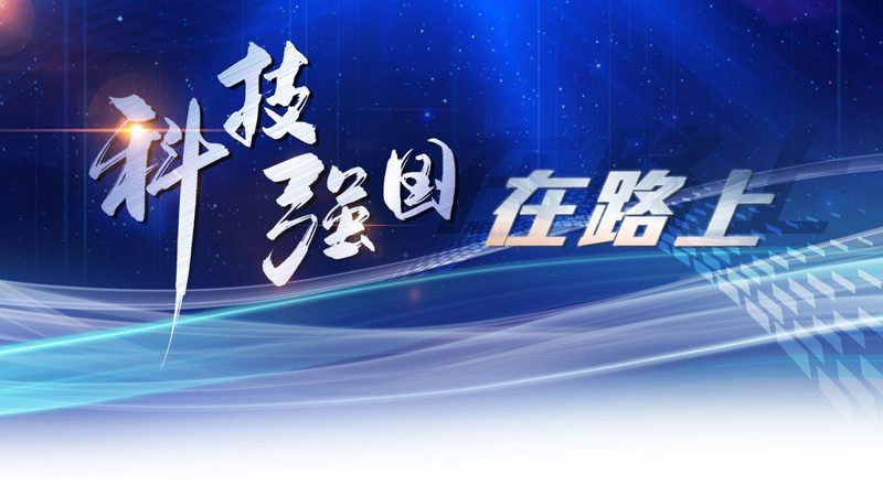 企业数字化转型的关键咨询服务内容解析**