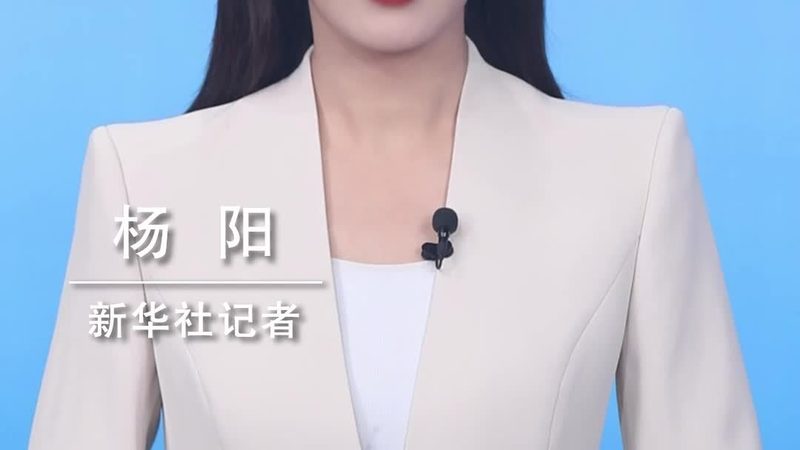 供应链管理系统：揭秘其核心价值与选型关键